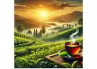 Buy Darjeeling Roasted Black Tea Chestlet Online | Makaibari Tea