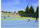 Tennis Classes for All Skill Levels | Bay Team Tennis Academy