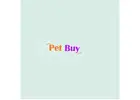 Buy Quality Dogs for Sale in Noida – Best Price