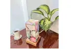 Shop Agate Lamp Online