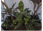 There Are Very Few Décor Moves As Smart As Faux Plants