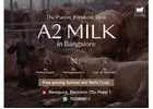 Cow milk Delivery in Electronic city, Bangalore