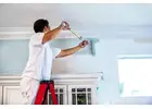 Trusted Local House Painters for Interior Upgrades
