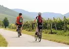 Bike Rental