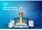 Ecommerce & Quick-Commerce Marketing Agency – Drive Sales Across Platforms