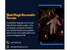 Black Magic Removal in Toronto - Powerful, Safe & Effective Spiritual Cleansing