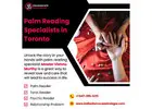 Palm Reading Specialists in Toronto