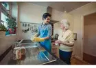 Companion Care Services for Seniors in Suffolk County