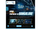 Ariba Partners in