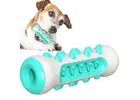 Smart Pet Care Products for Hassle-Free Routines