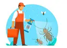Best Pest Control Services in Delhi – Safe, Reliable & Affordable