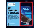 SAP Consulting in Bangalore | SAP Development Services in India