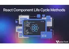 Everything You Need to Know About React Component Life Cycle