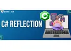 Mastering C# Reflection for Dynamic Programming