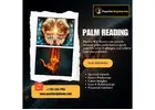 Palm Reading in New Jersey | Psychic Raj Sharma