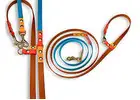 Hands-Free Dog Leash – Comfortable, Convenient, and Safe for Active Dog Walks