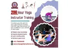 200 Hour Online Yoga Teacher Training | Om Yoga