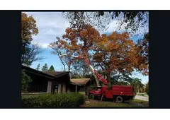 Crawford Tree & Landscape Services, Inc. Crawford Tree & Landscape Services, Inc.
