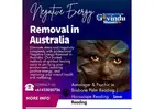 Effective Negative Energy Removal in Australia for Peace and Harmony