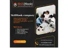 Professional Web Design Company | Skill Hook India