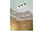 Ceiling Repairs Sydney | Sydney Wide Plastering