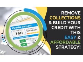 Remove Collections & Build Credit Remove Collections & Build Credit
