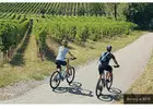 Multi Day Bike Tours Wine Country