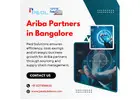 Ariba Partners in Bangalore | SAP S/4HANA Implementation in India