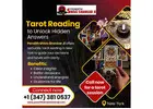 Tarot Reading in New York