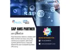 SAP AMS Partner in India | SAP S/4HANA Implementation in India