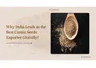 Indian Cumin Seeds Exporters | Expertsofdeals.com Reliable Trade