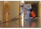 Get the Best Pest Control Sharjah Services