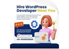 Hire WordPress Developer Near You – Quick Support