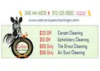 Zebra Carpet Cleaning League City TX