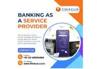 Banking as a Service Provider | Digital Payment Solution