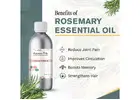 Rosemary Essential Oil – Boost Focus, Hair Growth & Natural Wellness | Raasa Oils