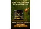 Pure Raw Jungly Honey from Deep Indian Forest | Bulk & Retail | Worldwide Shipping