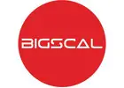 Bigscal The Ultimate Software Development Company
