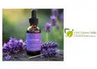 Certified Best Lavender Oil Supplier in India