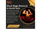Trusted Black Magic Removal in North York by Psychic Ravi