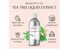 Tea Tree Liquid Extract for Cosmetic & Beauty Products | Raasa Oils