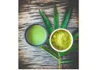 Buy Premium Matcha Green Tea Online – Authentic Taste of Japan