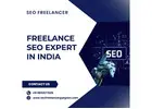 Professional Freelance SEO Expert in India for Sustainable Business Growth