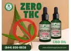 CBD Oil & CBD Tincture Zero THC in Sunrise, Florida – Buy CBD Oil Today