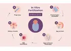 IVF Treatment Cost In Delhi - Dr Rhythm Gupta