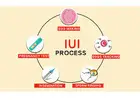 IUI Treatment In Delhi - Dr Rhythm Gupta