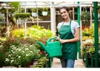 Professional Gardening Services in Pune - Expert Lawn & Landscape Care