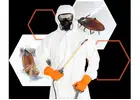 Reliable Anti Termite Treatment in Jaipur for Homes and Businesses