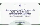 Gruppenhaus Harz 10 Personen mit Hund – Tipps für einen tierfreundlichen Aufenthalt