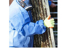 Asbestos Removal Services Sydney